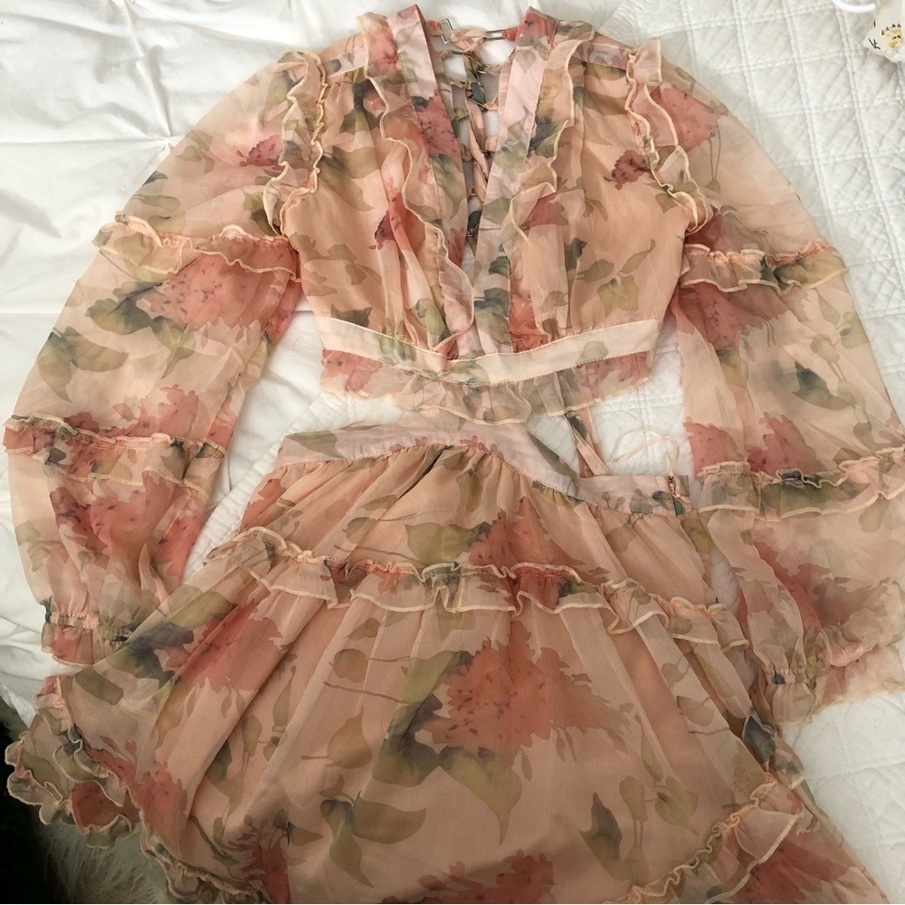 Floral Sheer Ruffle Dress - Picture 2 of 3